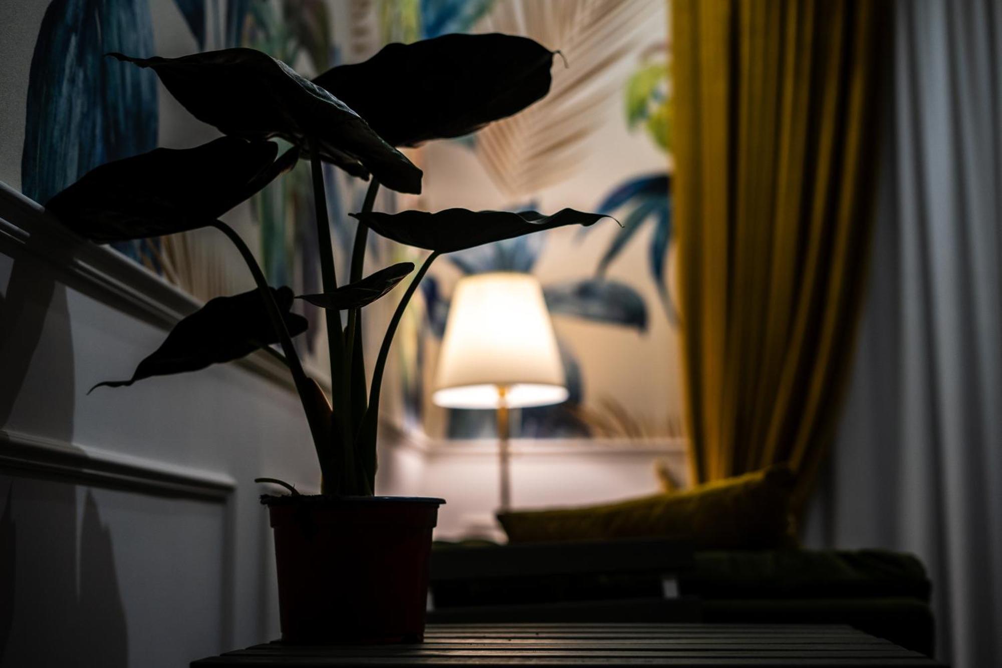 Bed and Breakfast La Grande Bellezza Napoli Esterno foto